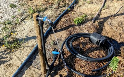 One more garden tap installed, as well as a branch point for more soaker hose lines.