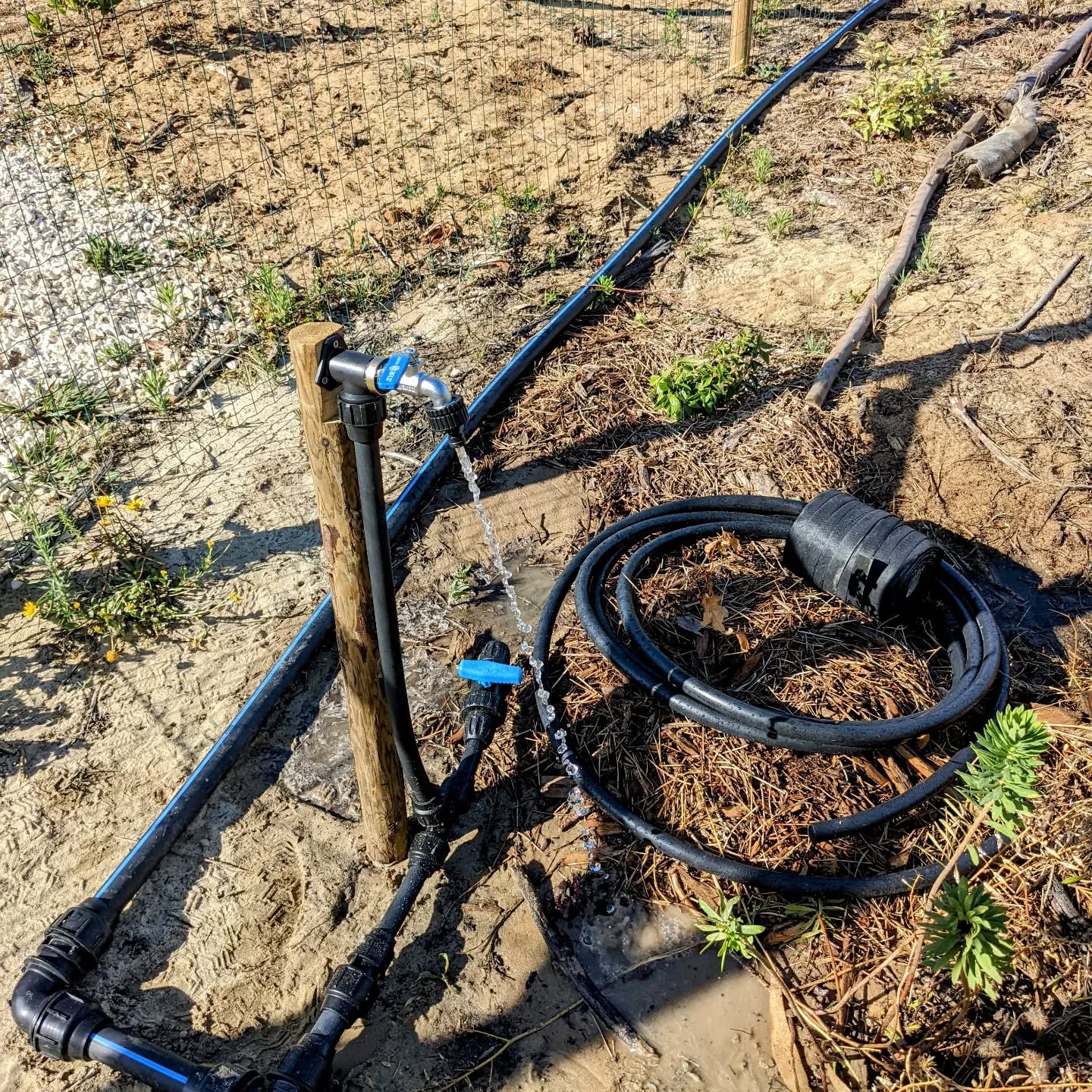 One more garden tap installed, as well as a branch point for more soaker hose lines.