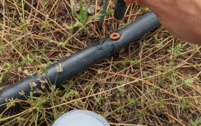 Another #irrigation line upgraded with proper plugs.