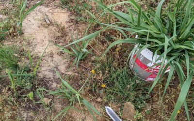 The #giantreed was taking over the north end of the west #swale berm again, so it was time to clean it up.