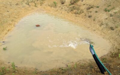 Filled up the west #pond again. Unfortunately this uncovered an issue with the water pumping system, hopefully we can get it fixed soon…