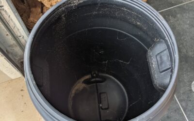 Started a batch of JADAM microbial solution (JMS).