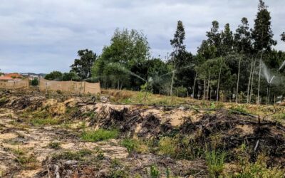 #irrigation zone number 12 up and running. This is the last one for now since we’re out of components for more… Waiting to get them, and hoping for some rain soon.