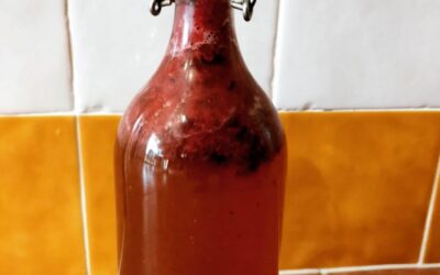 Kombucha with strawberry and mint.