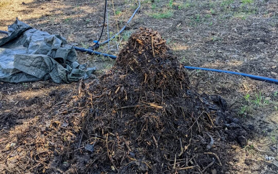 #compostturning