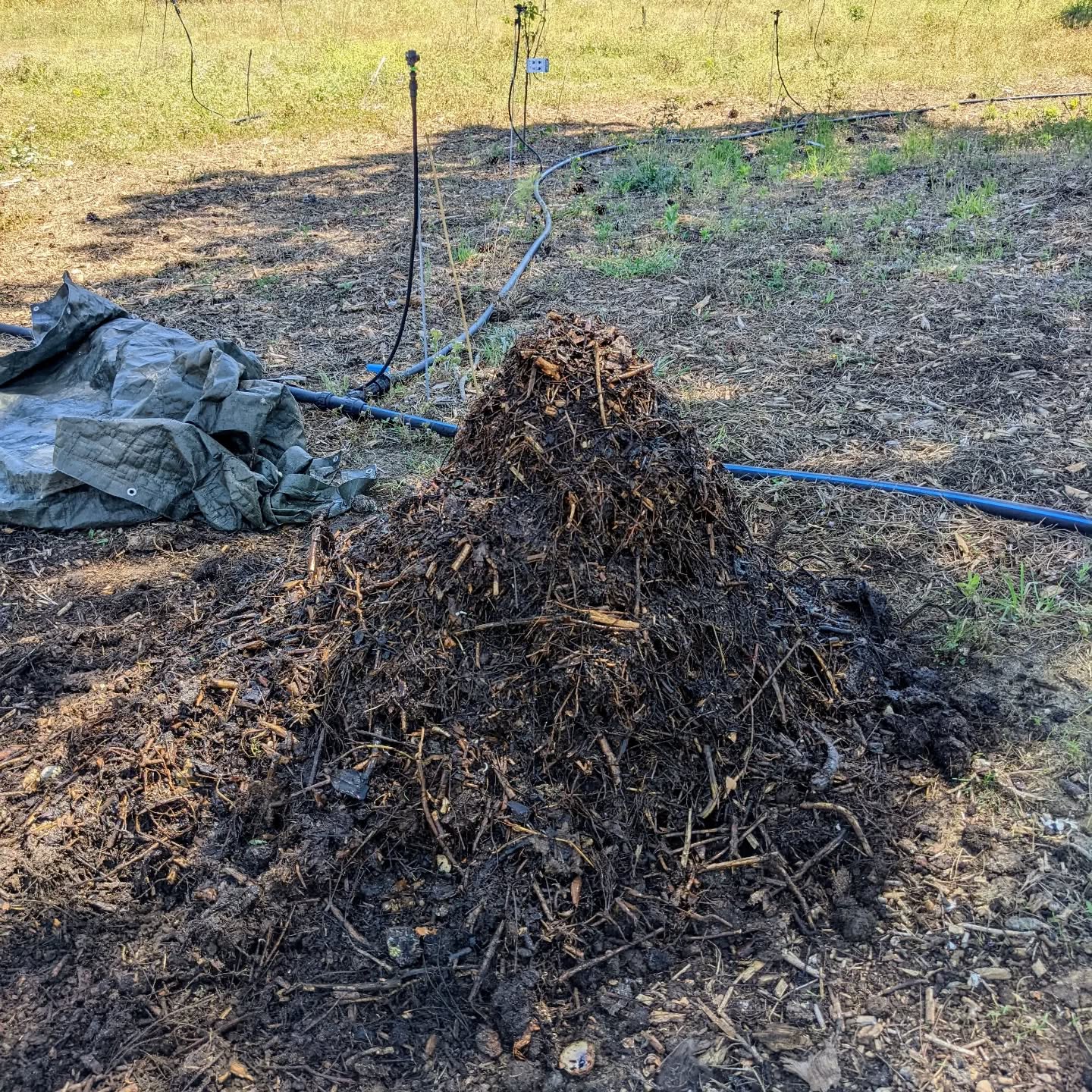 #compostturning