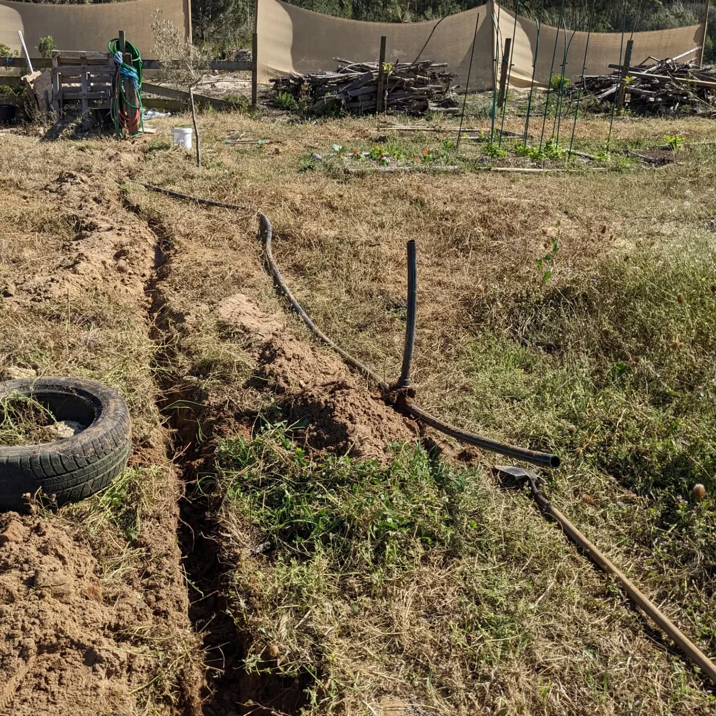 Digged up part of the previous #irrigation mainline and reconnected another. This revived an existing press fit water point and allowed adding a twist fit one nearby. It’ll be handy for filling the east pond and watering.