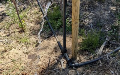 Installed two #taps with twist hose couplings (reclaimed from the old #irrigation system) at strategic points on the mainline.