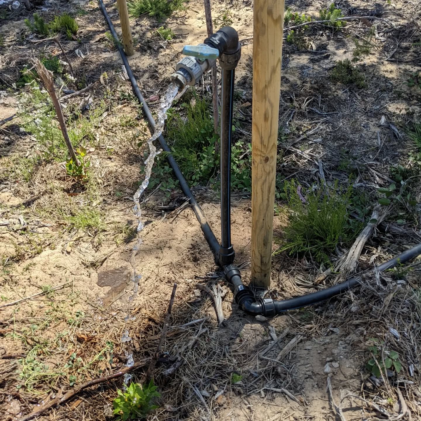 Installed two #taps with twist hose couplings (reclaimed from the old #irrigation system) at strategic points on the mainline.
