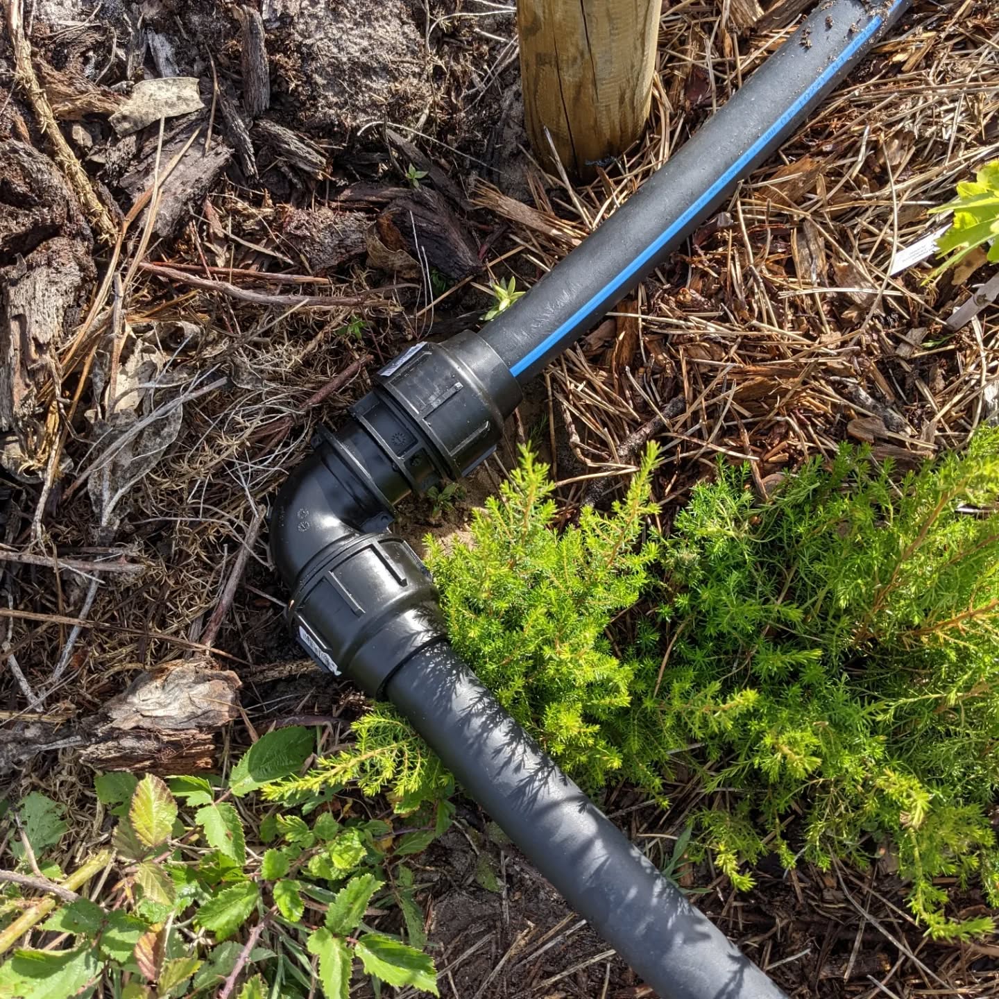 Installing L fittings at the corners of the #irrigation mainline. We had just bent the tube when laying it down, now it’s a little neater and under less tension.