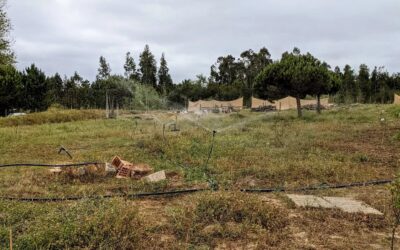 Another #irrigation zone ready.