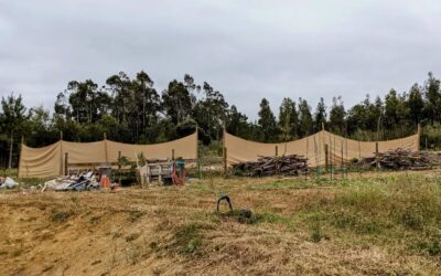 Fixing the #windbreak, yet again. One of the poles wasn’t anchored enough but hopefully should be now. We added another midway through one of the sections.