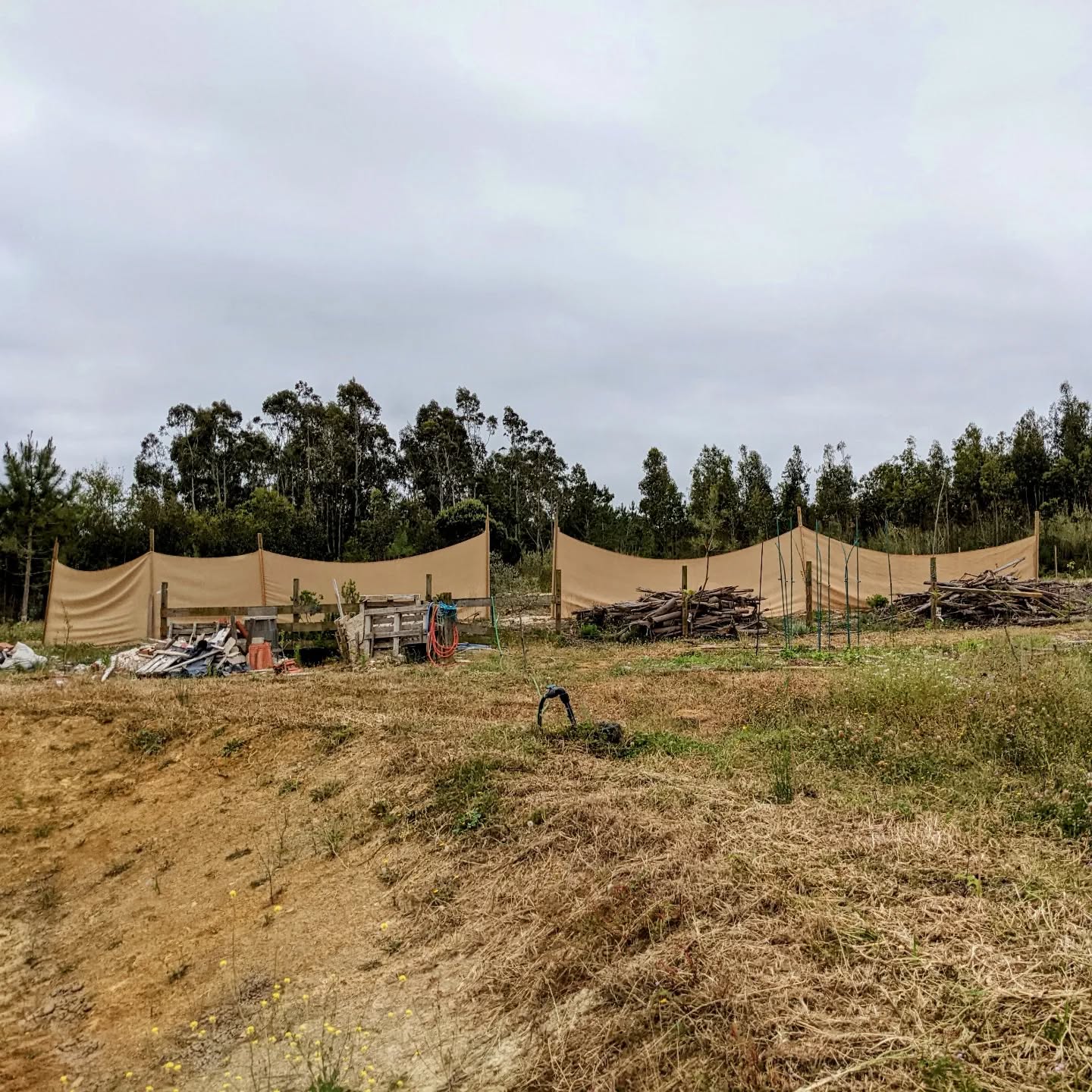 Fixing the #windbreak, yet again. One of the poles wasn’t anchored enough but hopefully should be now. We added another midway through one of the sections.