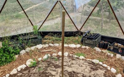 #weeding the #greenhouse