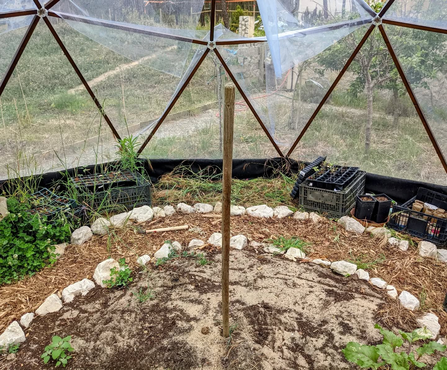 #weeding the #greenhouse