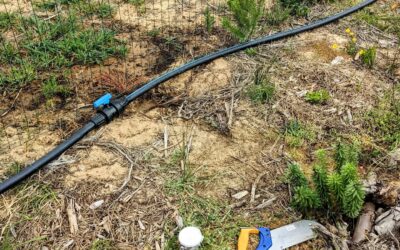 Last connection done: the #irrigation mainline ring is complete.