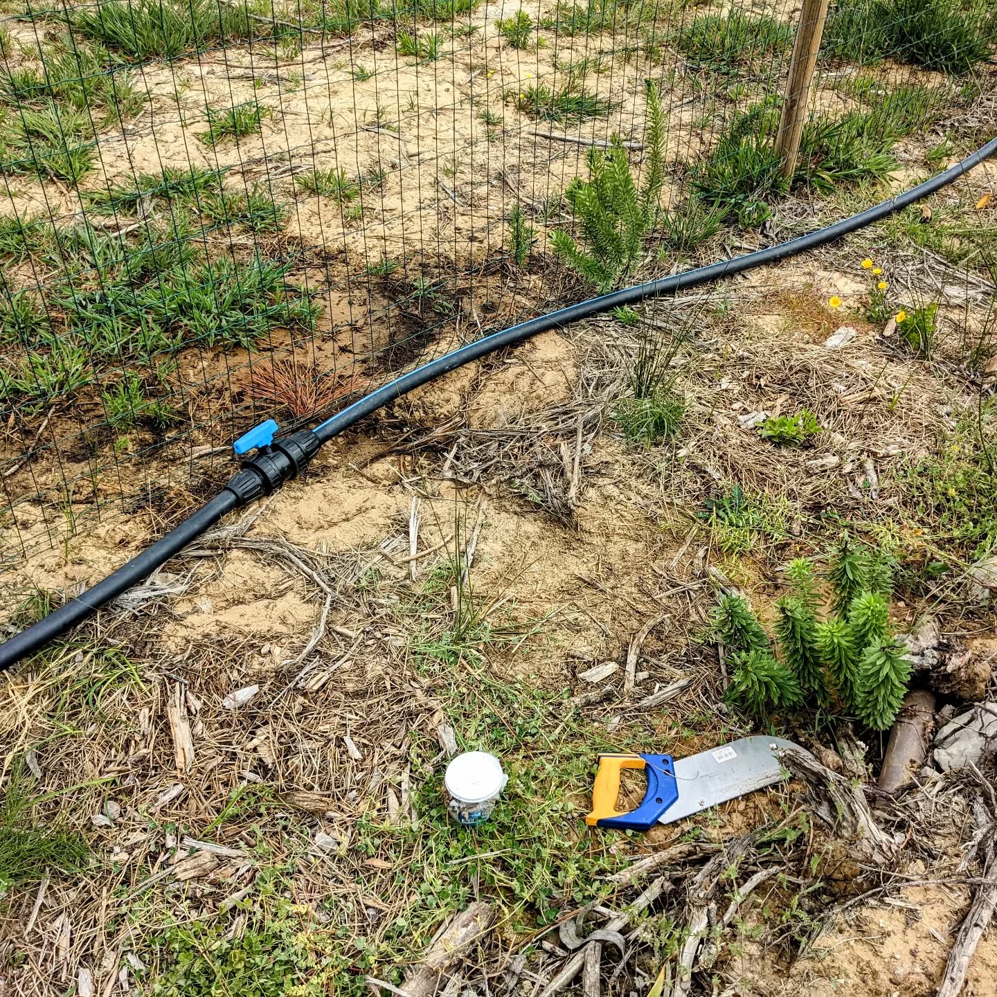 Last connection done: the #irrigation mainline ring is complete.