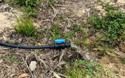 2 more segments attached to the #irrigation mainline.