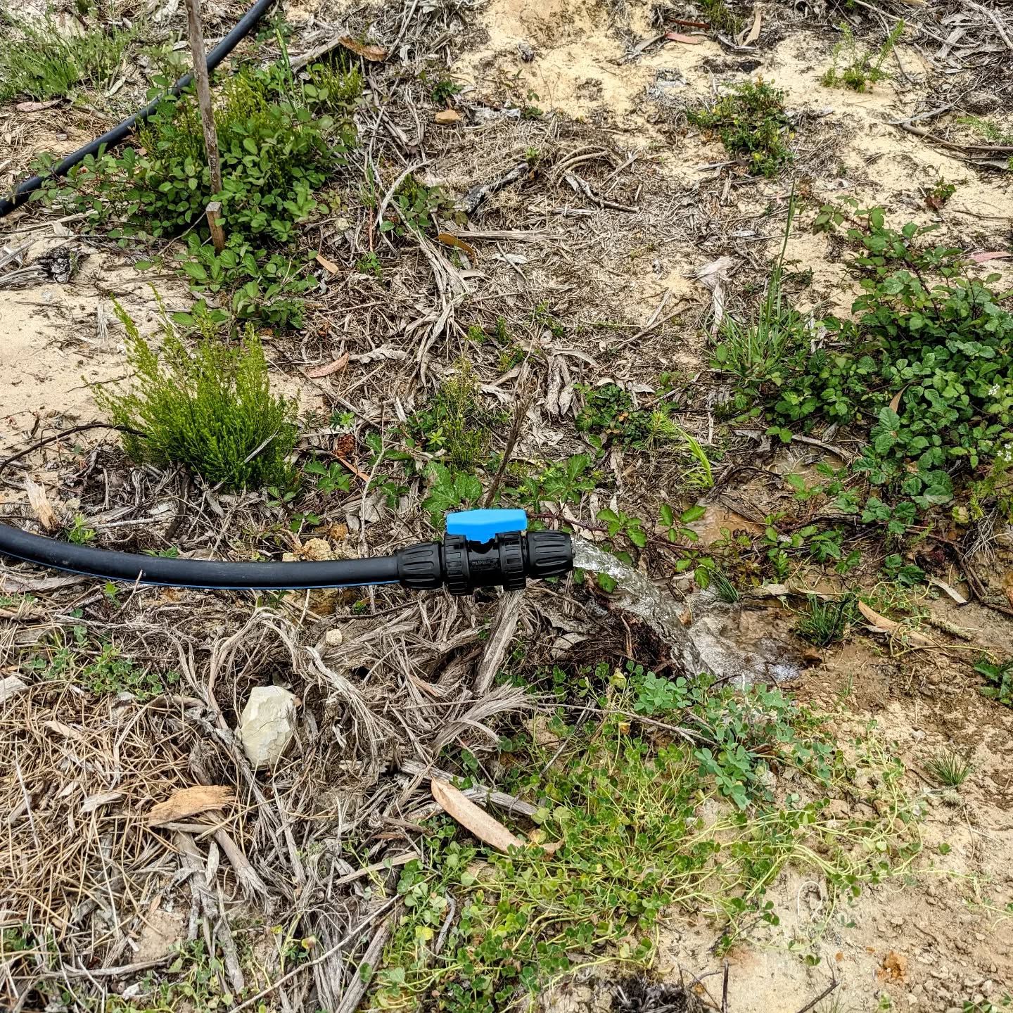2 more segments attached to the #irrigation mainline.