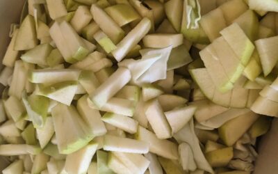 Braised cabbage and apple with kefir for lunch… simple, tasty, healthy