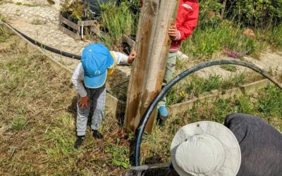 Point of no return: cutting the old #irrigation mainline to hook up the new one. It worked, so now there’s water in the veggie garden again. Up next: the rest of the garden 😅