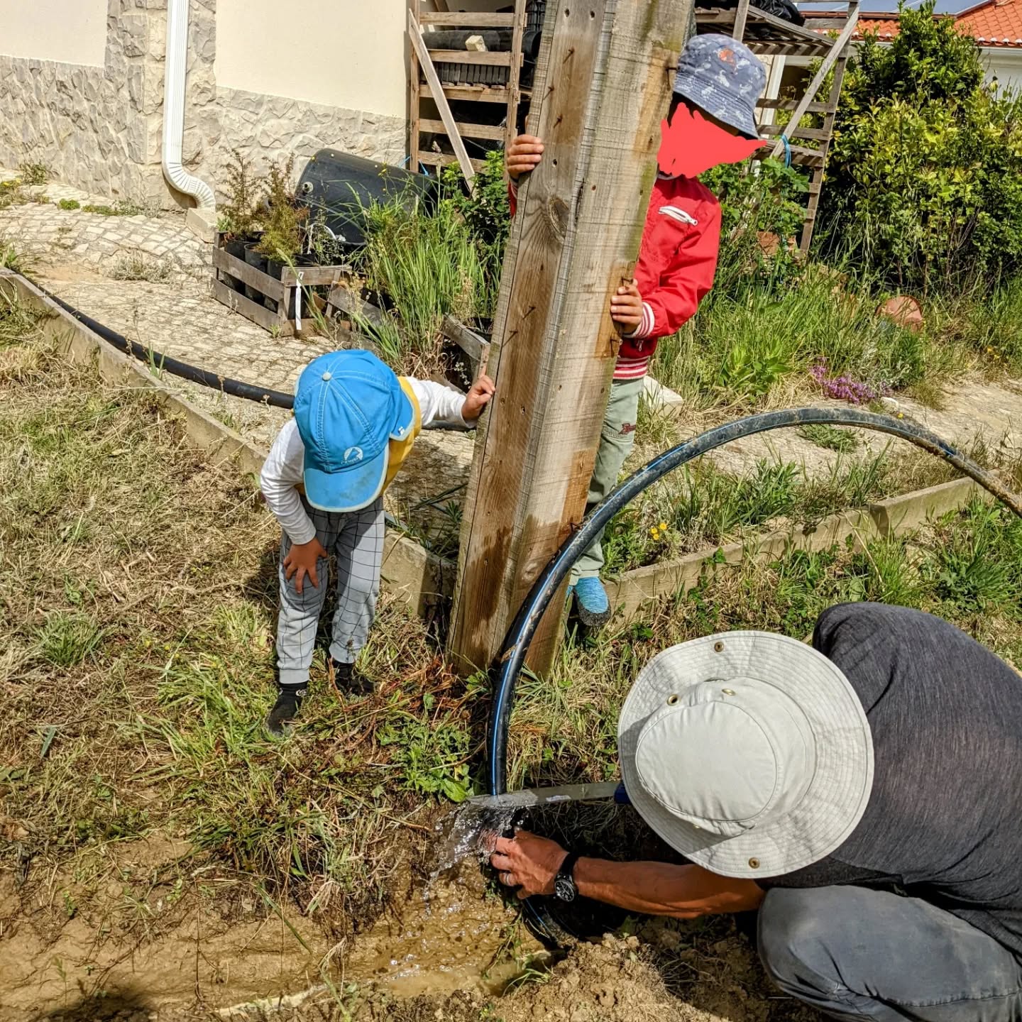 Point of no return: cutting the old #irrigation mainline to hook up the new one. It worked, so now there’s water in the veggie garden again. Up next: the rest of the garden 😅