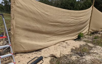 Fixing the #windbreak