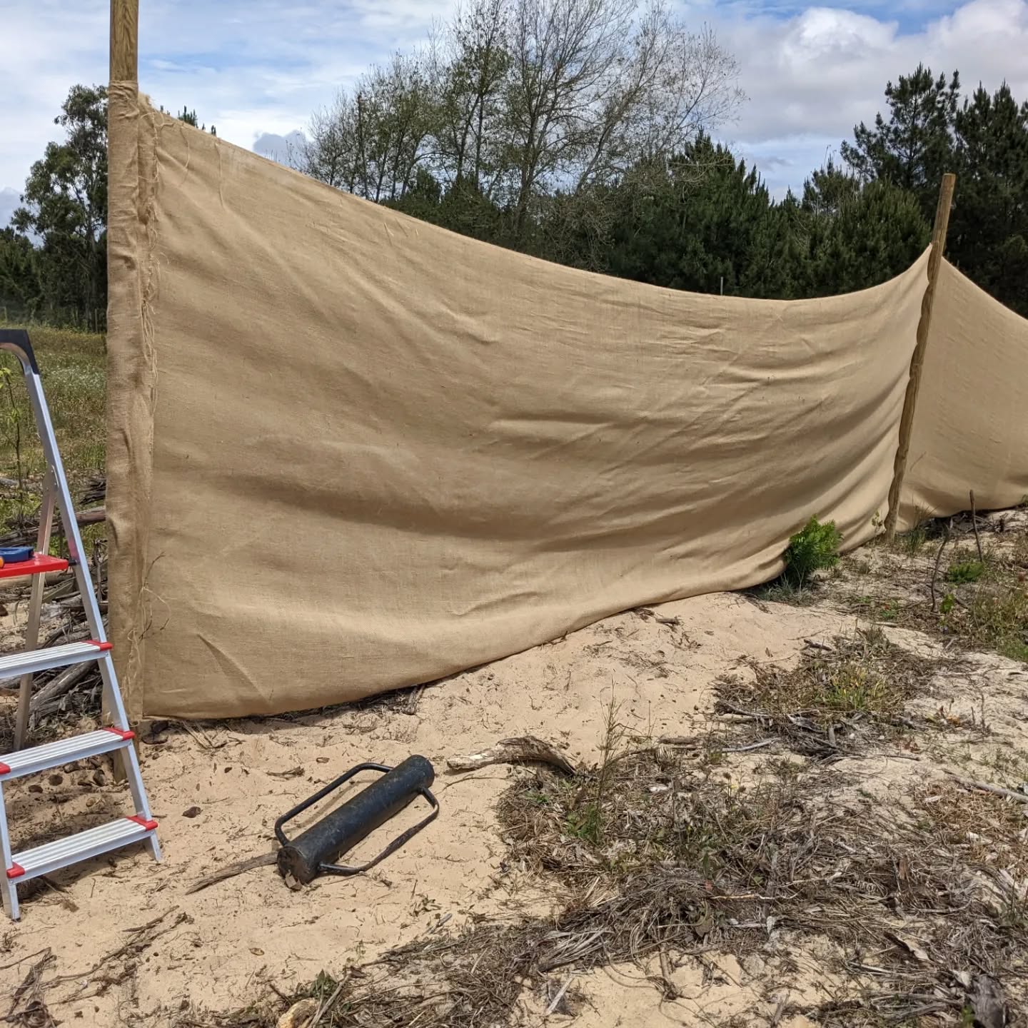 Fixing the #windbreak