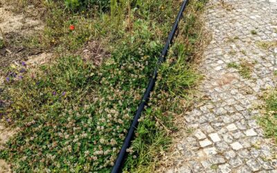 Laying 40mm #hdpe tube for the #irrigation mainline