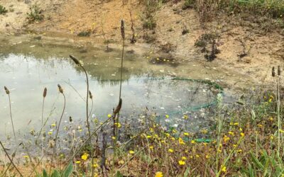 #biodiversity boost with water