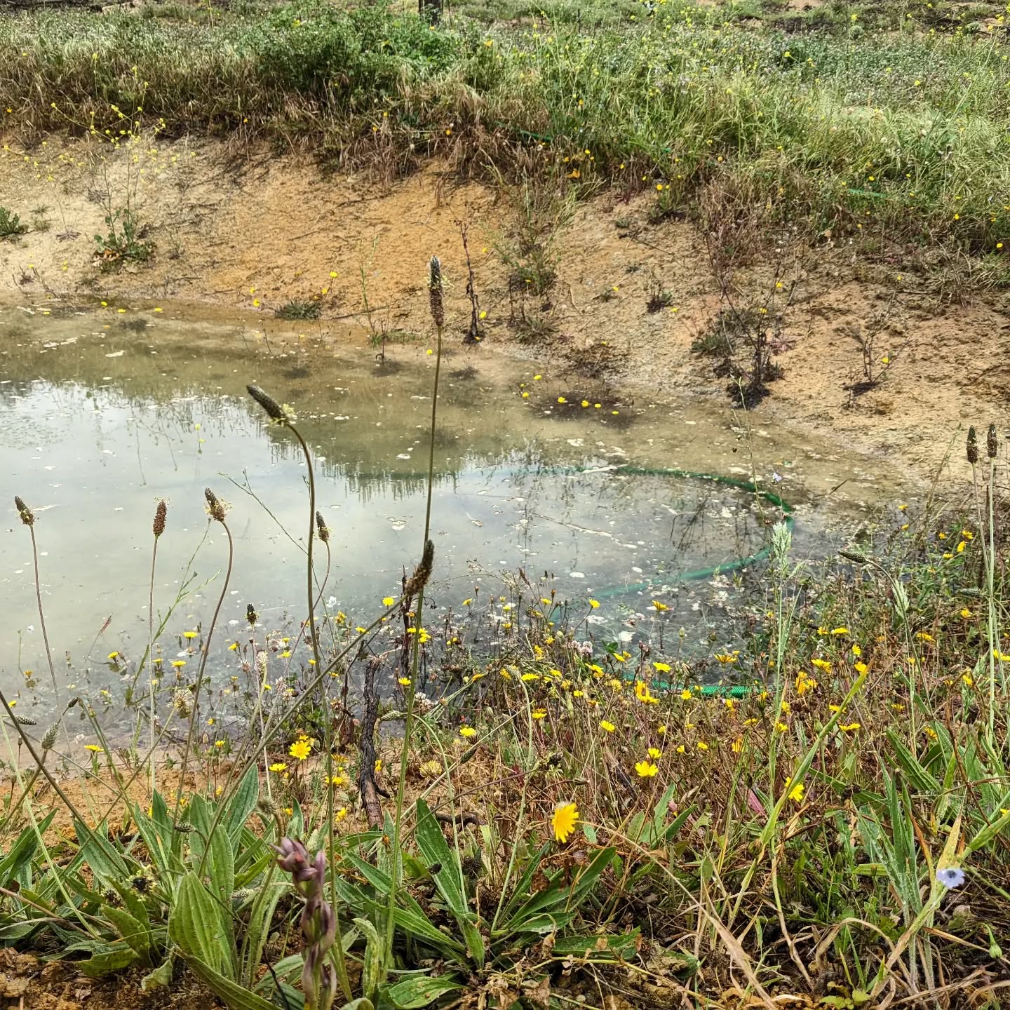 #biodiversity boost with water