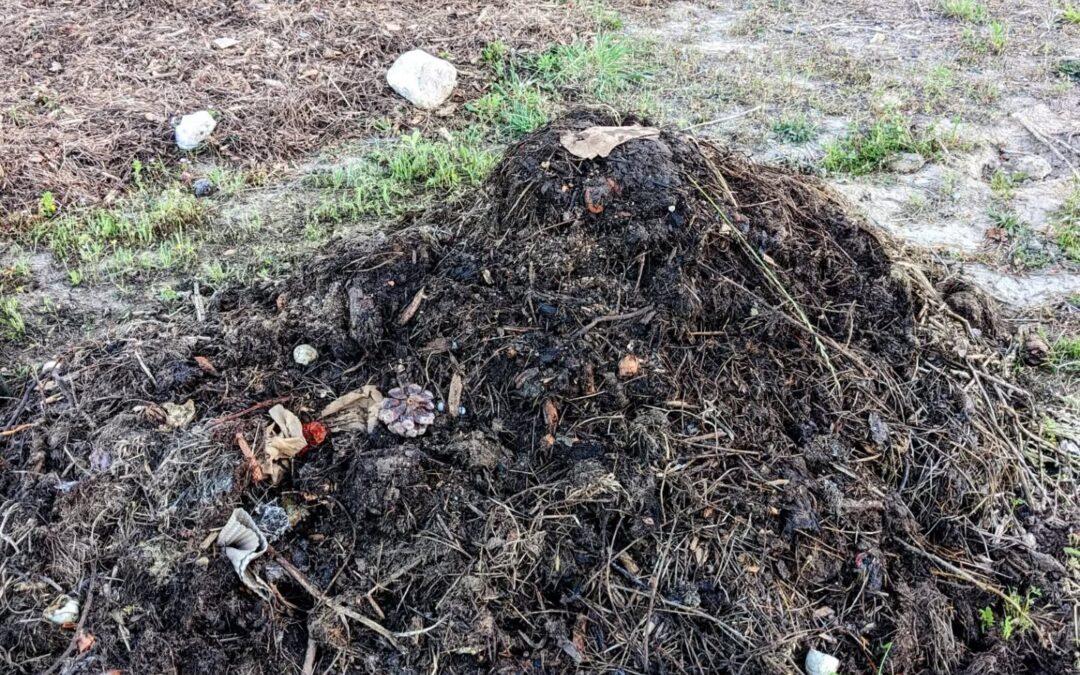 #compostturning