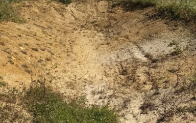 First attempt of sealing the east #pond with #bentonite.