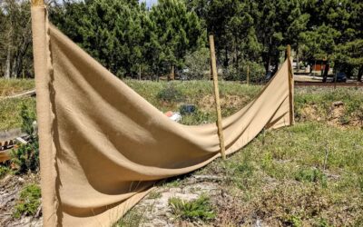 Strong southern winds (opposite the prevailing direction) ripped the hessian cloth from the staples holding it. This happened on 3 different windbreaks, one of them even has a loose pole now.