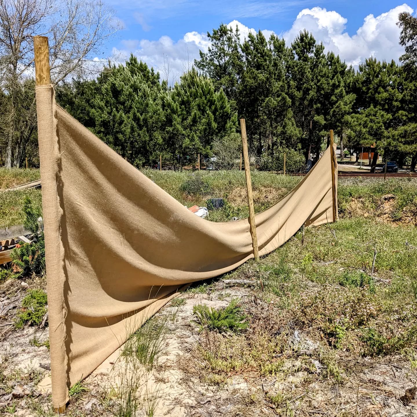 Strong southern winds (opposite the prevailing direction) ripped the hessian cloth from the staples holding it. This happened on 3 different windbreaks, one of them even has a loose pole now.