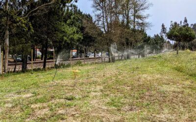 Test setup with 9 sprinklers. This was meant to be one segment and we calculated that we’d be able to turn on two segments at once. However, only 8 of the 9 sprinklers seem to be working properly at once. More investigation and potentially some redesigning is needed.