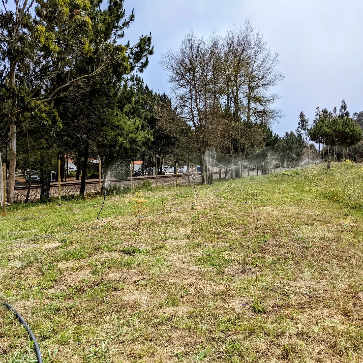 Test setup with 9 sprinklers. This was meant to be one segment and we calculated that we’d be able to turn on two segments at once. However, only 8 of the 9 sprinklers seem to be working properly at once. More investigation and potentially some redesigning is needed.