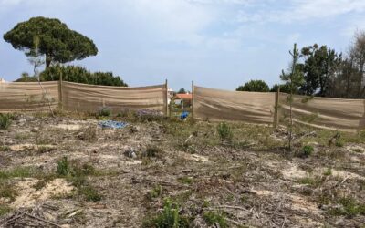 Another pair of #hessian #windbreaks, just upwind from two lines of trees that should, in time, grow to serve the same function.
