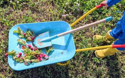 T proudly carrying his #radish #harvest