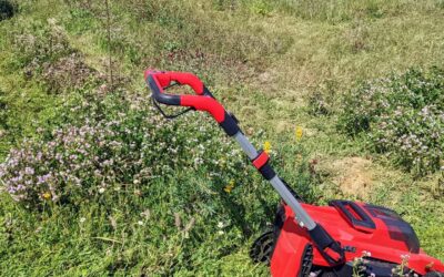 #mowing between the tree lines in zone 2. It’ll be easier once we have some grazing animals to do it instead.
