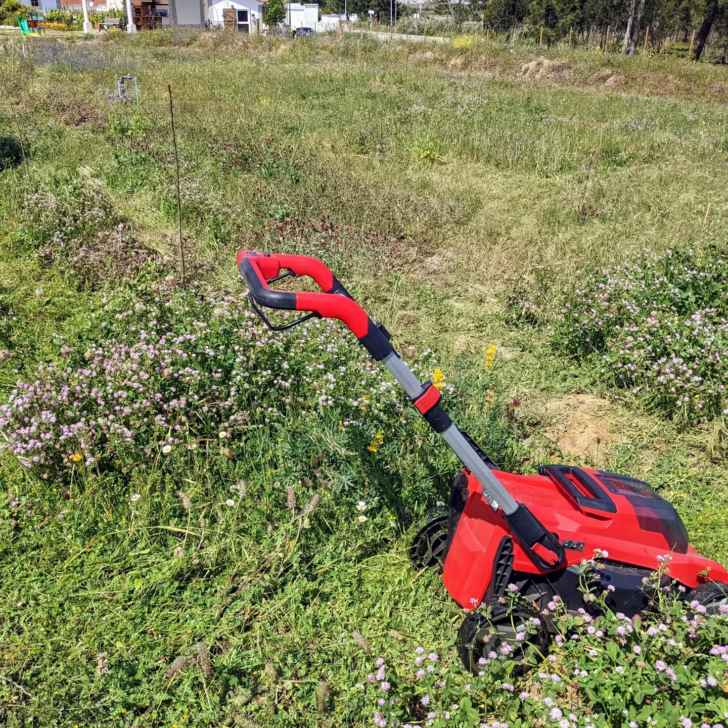 #mowing between the tree lines in zone 2. It’ll be easier once we have some grazing animals to do it instead.