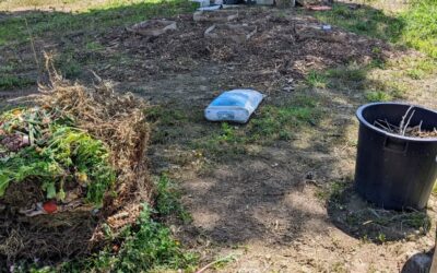 Mixed a new batch of #compost: a cylinder full of kitchen waste and garden clippings, weeds, etc, a bag of rabbit manure we bought in bulk last year, and a bunch of chopped Hortensia branches.