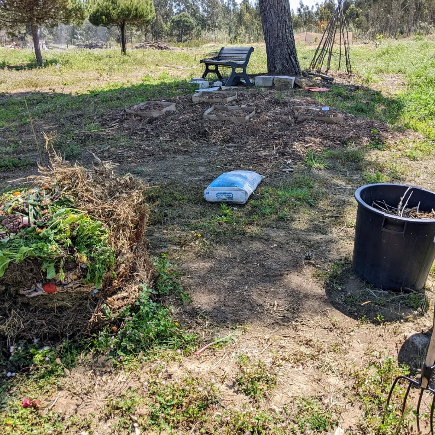 Mixed a new batch of #compost: a cylinder full of kitchen waste and garden clippings, weeds, etc, a bag of rabbit manure we bought in bulk last year, and a bunch of chopped Hortensia branches.