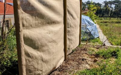 New #windbreak at the north end of the west #swale, using #hesssian cloth stapled to the fence poles.