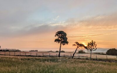 #morningride #ridemtb #sunrise