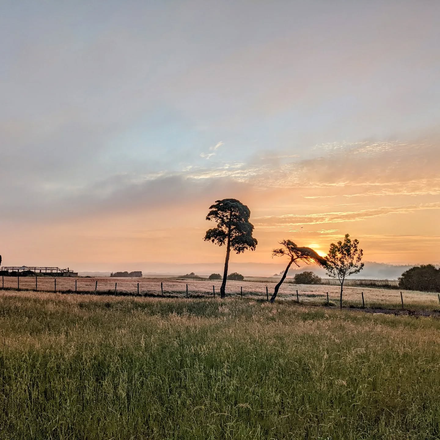 #morningride #ridemtb #sunrise