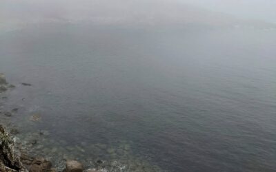 #morningride #ridemtb