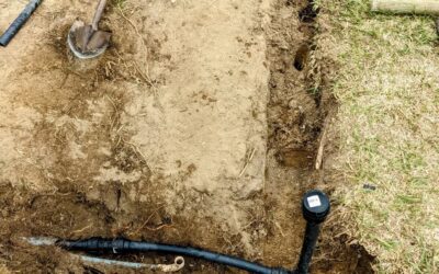 Punctured water pipe repair successful. Also moved the distribution panel away from the path between the future medicinal plant beds.