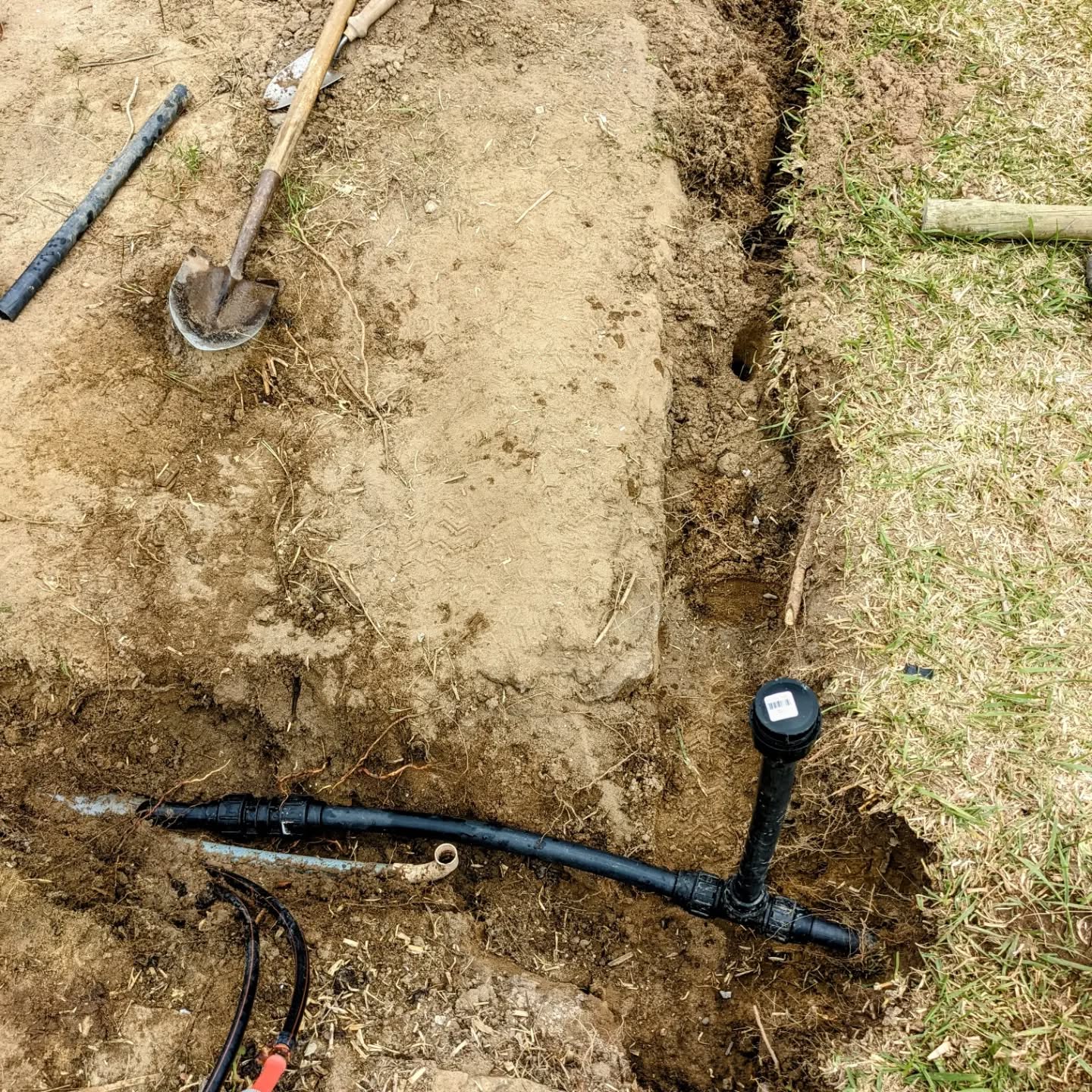 Punctured water pipe repair successful. Also moved the distribution panel away from the path between the future medicinal plant beds.