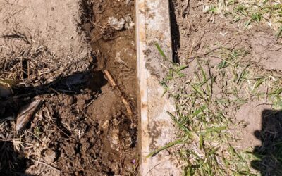 Accidentally drilled into the water pipe while breaking the cement around the edging. No irrigation until this is fixed.